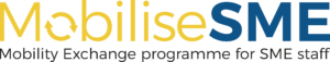 Program: Logo MobiliseSME